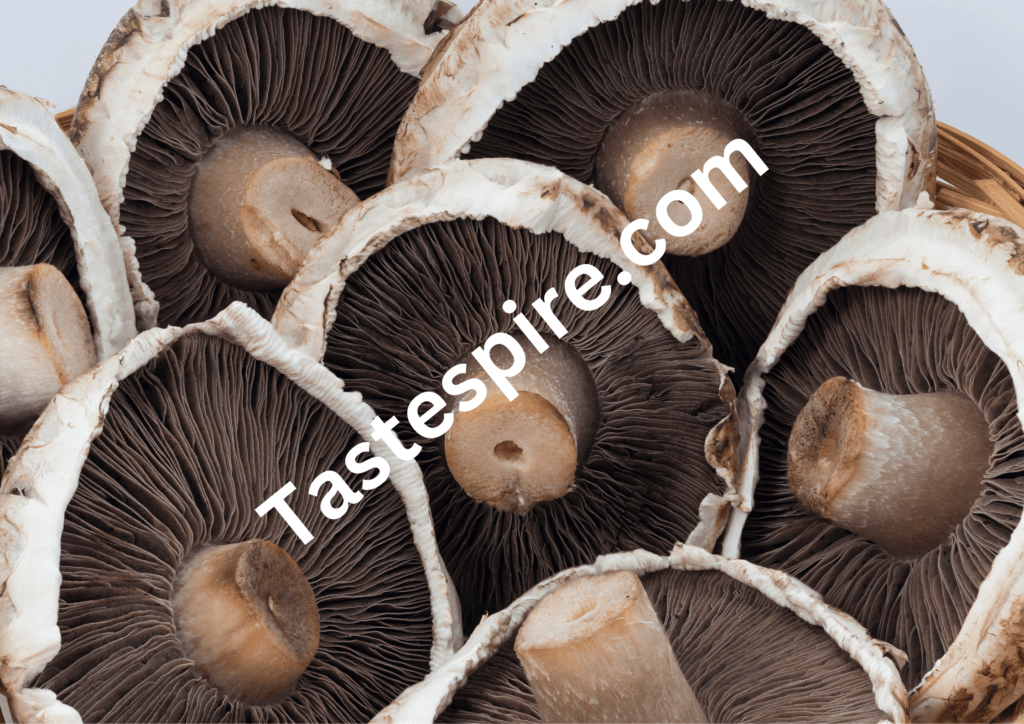 Portobello Mushrooms